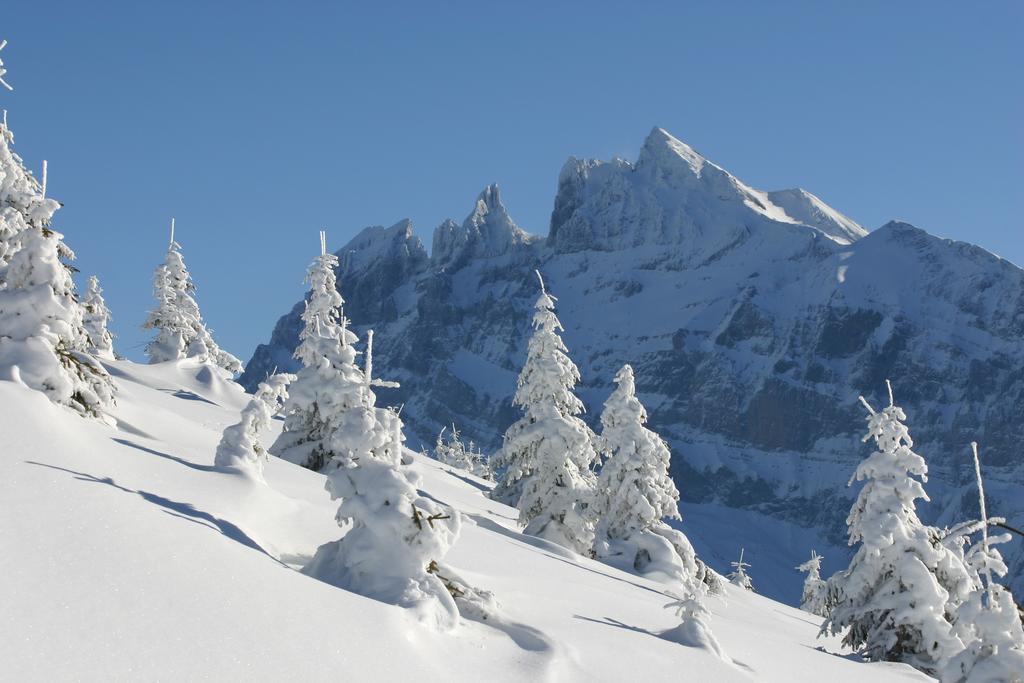 Hotel Des Alpes Champéry Exteriér fotografie