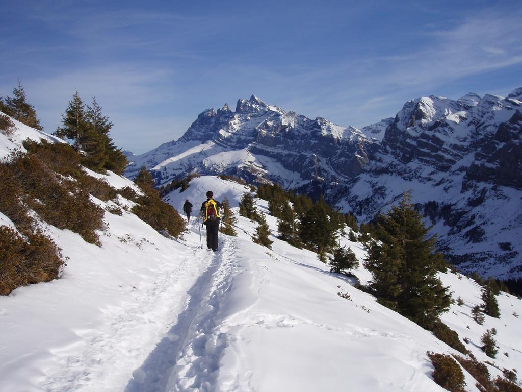 Hotel Des Alpes Champéry Exteriér fotografie